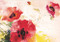 NOTE CARD WATERCOLOR POPPIES by , 9781441324511