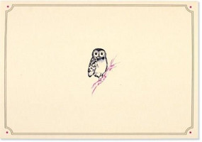 NOTE CARD OWL PORTRAIT by , 9781441315144