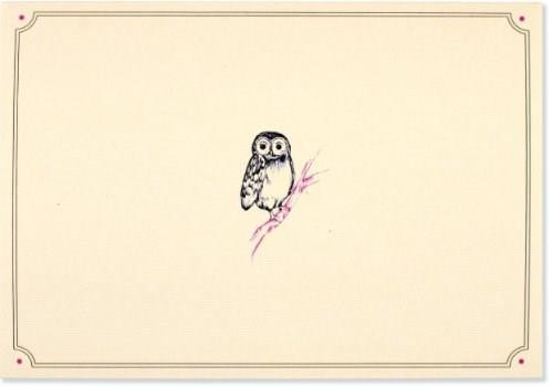 NOTE CARD OWL PORTRAIT by , 9781441315144
