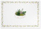 Succulents Note Cards by , 9781441324078