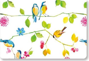 NOTE CARD WATERCOLOR BIRDS by , 9781441304544