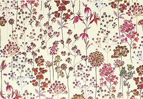 NOTE CARD WILDFLOWER MEADOW by , 9781441332387