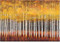 NOTE CARD GOLDEN ASPENS by , 9781441306319