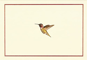Hummingbird Flight Note Cards (Stationery, Boxed Cards) by Peter Pauper Press, Inc., 9781441316639