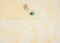 Watercolor Flowers Thank You Notes by , 9781441308122