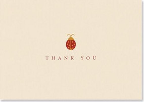 TY NOTE LADYBUG by , 9781593591885
