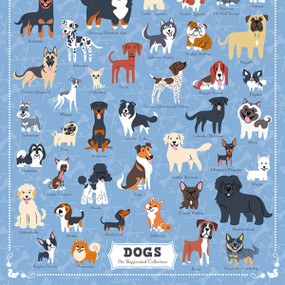 Illustrated Dogs, 653341298102
