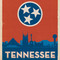 Tennessee State Flag, TSNAS014