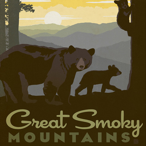 Great Smoky - Bear, 653341296108