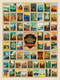 National Parks - Wonder, 653341296603