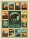 Bear - Ntl Parks Coll. Series, 644216572809