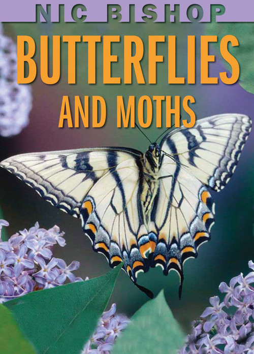 Nic Bishop: Butterflies and Moths by Nic Bishop, Nic Bishop, 9780439877572