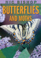 Nic Bishop: Butterflies and Moths by Nic Bishop, Nic Bishop, 9780439877572