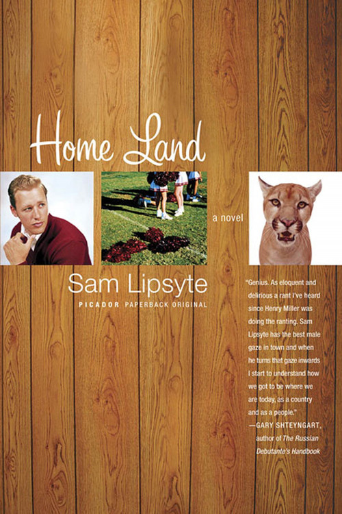 Home Land (A Novel) by Sam Lipsyte, 9780312424183