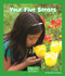 Your Five Senses by Maryellen Gregoire, 9781429678803