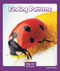 Finding Patterns by Marilyn Deen, 9781429679190