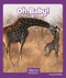 Oh Baby! by Layne deMarin, 9781429679404