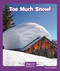Too Much Snow by Layne deMarin, 9781429679442