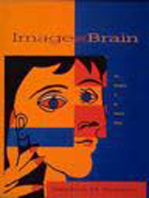 Image And Brain (The Resolution of the Imagery Debate) by Stephen M. Kosslyn, 9780262611244
