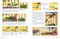 Watercolour Landscapes for the Absolute Beginner by Matthew Palmer, 9781782219101