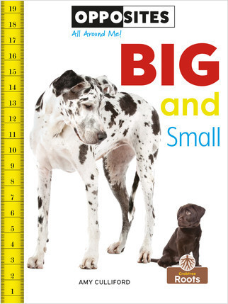Big and Small - 9781427140166 by Amy Culliford, Amy Culliford, 9781427140166