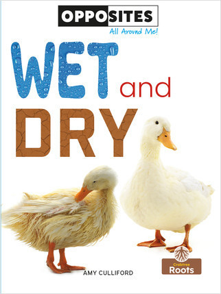 Wet and Dry - 9781427140272 by Amy Culliford, Amy Culliford, 9781427140272