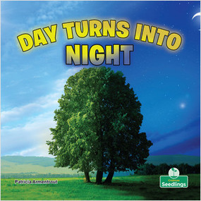 Day Turns into Night by Patricia Armentrout, Amy Culliford, 9781427159441