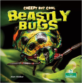 Creepy But Cool Beastly Bugs by Alan Walker, Amy Culliford, 9781427161611