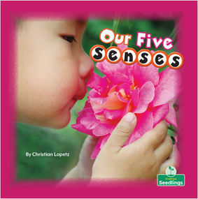 Our Five Senses - 9781039600065 by Christian Lopetz, Amy Culliford, 9781039600065