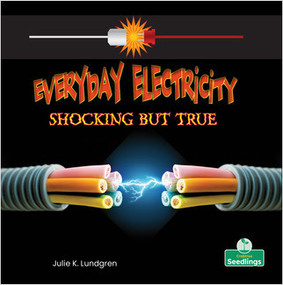 Everyday Electricity, Shocking But True by Julie K. Lundgren, Amy Culliford, 9781039600362