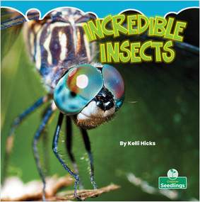 Incredible Insects - 9781039600379 by Kelli Hicks, Amy Culliford, 9781039600379