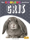 Gris (Gray) by Amy Culliford, Annie Evearts, Claire Savard, 9781039601147