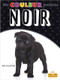 Noir (Black) by Amy Culliford, Annie Evearts, Claire Savard, 9781039601246