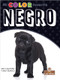 Negro (Black) - 9781039601086 by Amy Culliford, Gilda Kupferman, Milly Blanco, 9781039601086