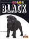 Black - 9781039600928 by Amy Culliford, Amy Culliford, 9781039600928