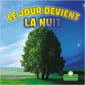 Le jour devient la nuit (Day Turns into Night) by Patricia Armentrout, Annie Evearts, 9781039608863