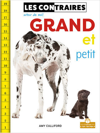 Grand et petit (Big and Small) by Amy Culliford, Annie Evearts, Claire Savard, 9781039605824