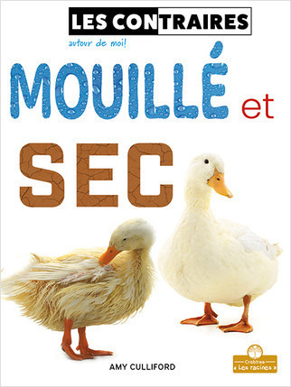 Mouillé et sec (Wet and Dry) by Amy Culliford, Annie Evearts, Claire Savard, 9781039605879