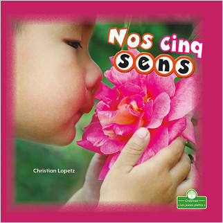 Nos cinq sens (Our Five Senses) by Christian Lopetz, Annie Evearts, 9781039609242