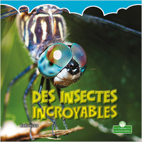 Des insectes incroyables (Incredible Insects) by Kelli Hicks, Annie Evearts, 9781039609419