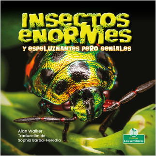 Insectos enormes y espeluznantes pero geniales (Creepy But Cool Beastly Bugs) by Alan Walker, Sophia Barba-Heredia, Pablo de la Vega, Gilda Kupferman, 9781039618565