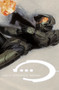 Halo Graphic Novel (New Edition) by Lee Hammock, Simon Bisley, Ed Lee, Jay Faerber, Andrew Robinson, 9781506725871
