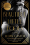 Beautiful Little Fools (A Novel) - 9780063211032 by Jillian Cantor, 9780063211032