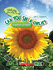 Can You See a Circle? (Nature Numbers) (Library Edition) (Explore Shapes) by Ruth Musgrave, 9781338765151