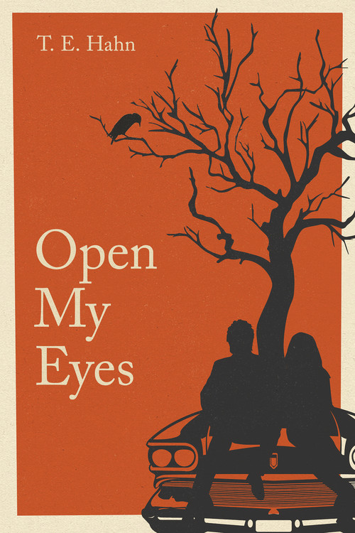 Open My Eyes by T Hahn, Andrew DiPrinzio, 9781947041288