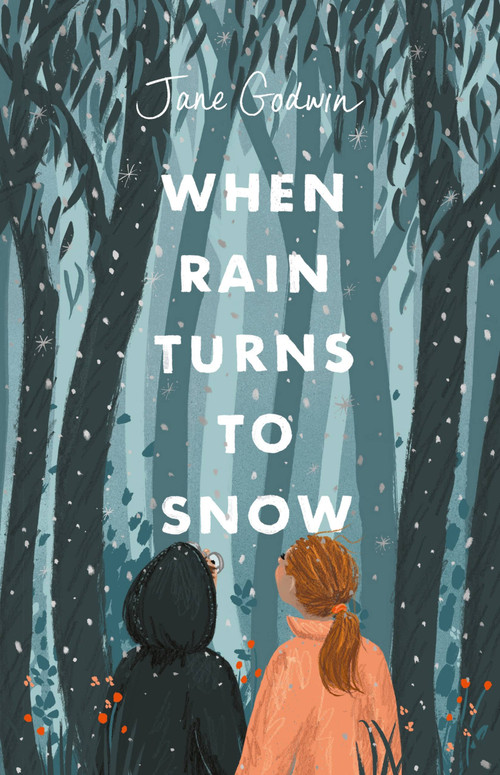 When Rain Turns to Snow by Jane Godwin, 9780734420053