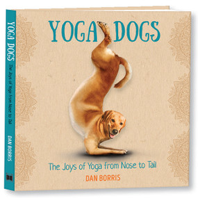 Yoga Dogs by Dan Borris, 9781531914875