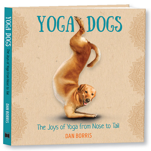 Yoga Dogs by Dan Borris, 9781531914875