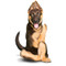 Yoga Dogs by Dan Borris, 9781531914875