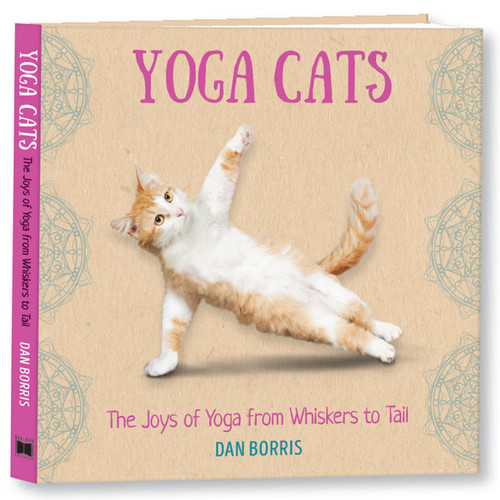 Yoga Cats by Dan Borris, 9781531914868